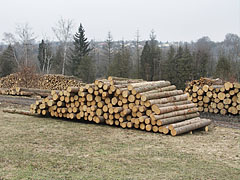 Wood piles - Őriszentpéter, 헝가리