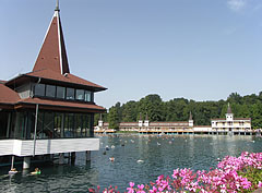 The beautiful Thermal Lake of Hévíz - Hévíz, 匈牙利