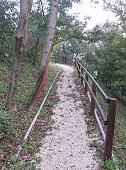 Educational nature trail - Fonyód, Мађарска