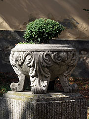 A stone vase with a small shrub, in front of the former Franciscan Church - Siklós, Мађарска