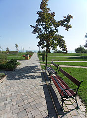 Strand és park egyben, hívogató pihenőpadokkal - Balatonfüred, Magyarország